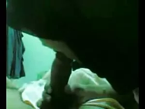 عجلوا في الفناء. مقا ...
